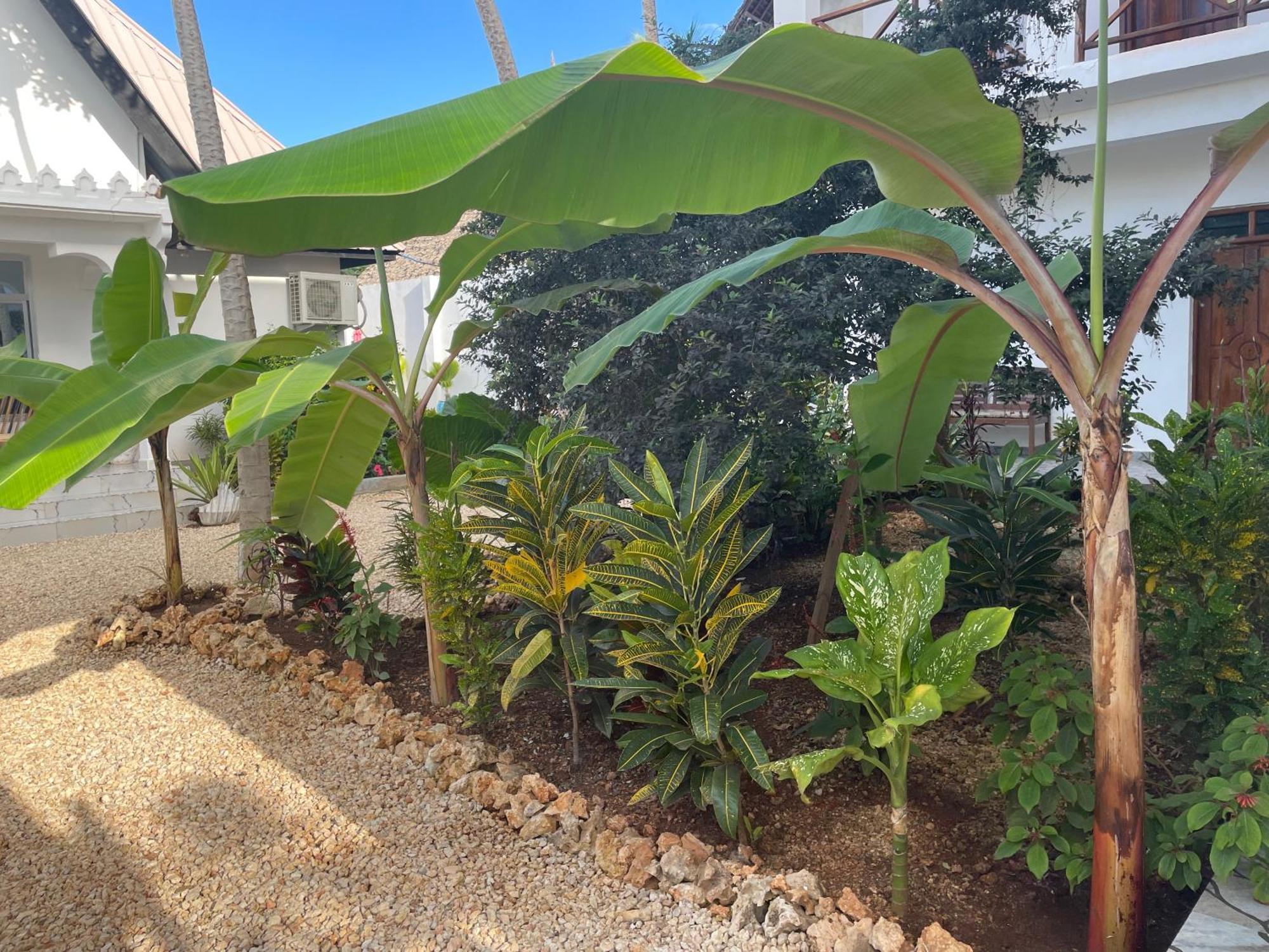 Daniel Zanzibar Hotel 눙귀 외부 사진